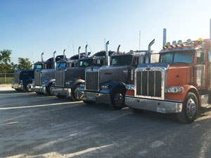 Five bulk liquid transporting trucks positioned in a line.